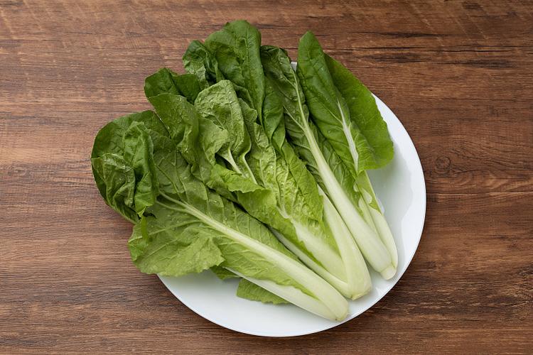 翠色琢玉，静观四季青——一则有机蔬菜的静物视觉叙事