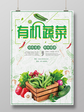 有机蔬菜——回归自然的鲜甜本味
