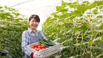 有机蔬菜成为北京国际食品展览会美食焦点，引领健康生活新潮流